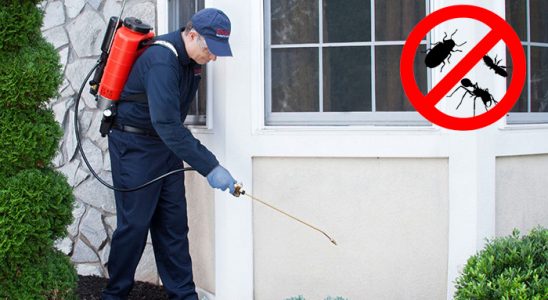 Ovacık Kemirgen İlaçlama böcek ilaçlama ve haşere kontrolü — ilaclama-tr.com